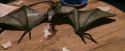 PF-Potterish_08646.jpg
