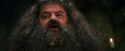 PF-Potterish_08651.jpg