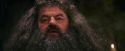 PF-Potterish_08658.jpg