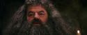 PF-Potterish_08660.jpg