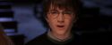 PF-Potterish_08714.jpg