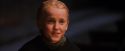 PF-Potterish_08729.jpg