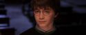 PF-Potterish_08738.jpg