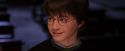 PF-Potterish_08742.jpg