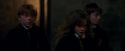 PF-Potterish_08777.jpg