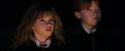 PF-Potterish_08825.jpg