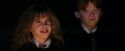 PF-Potterish_08828.jpg