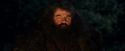 PF-Potterish_08830.jpg