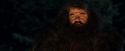 PF-Potterish_08832.jpg