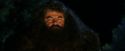 PF-Potterish_08847.jpg