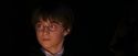 PF-Potterish_08871.jpg