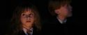 PF-Potterish_08888.jpg