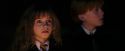 PF-Potterish_08889.jpg