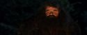 PF-Potterish_08892.jpg