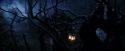 PF-Potterish_08925.jpg