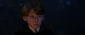PF-Potterish_08959.jpg