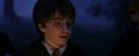 PF-Potterish_08963.jpg