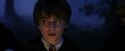 PF-Potterish_08969.jpg