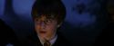 PF-Potterish_08970.jpg
