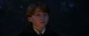 PF-Potterish_08992.jpg