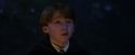PF-Potterish_08993.jpg