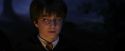 PF-Potterish_08999.jpg