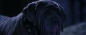 PF-Potterish_09015.jpg