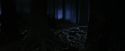 PF-Potterish_09057.jpg