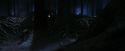 PF-Potterish_09064.jpg