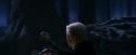 PF-Potterish_09107.jpg