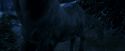 PF-Potterish_09166.jpg