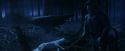 PF-Potterish_09217.jpg