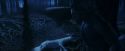 PF-Potterish_09223.jpg