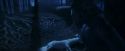 PF-Potterish_09224.jpg