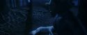 PF-Potterish_09225.jpg