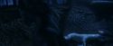 PF-Potterish_09228.jpg
