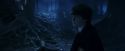 PF-Potterish_09258.jpg