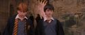 PF-Potterish_09432.jpg