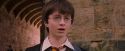 PF-Potterish_09435.jpg
