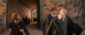 PF-Potterish_09441.jpg