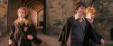PF-Potterish_09442.jpg