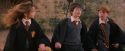 PF-Potterish_09444.jpg