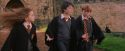 PF-Potterish_09449.jpg