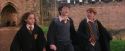 PF-Potterish_09453.jpg