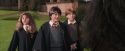PF-Potterish_09470.jpg