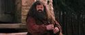 PF-Potterish_09474.jpg