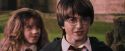 PF-Potterish_09478.jpg