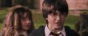 PF-Potterish_09479.jpg