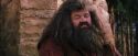 PF-Potterish_09481.jpg