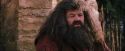 PF-Potterish_09483.jpg